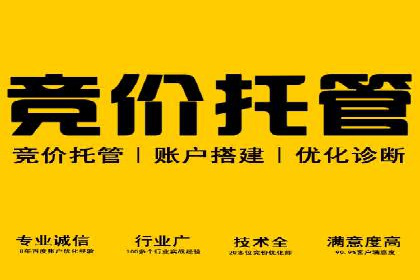 百度SEM竞价策略解析：成功案例分享